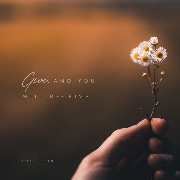 Meet your Posher, Jaci - Picture 4 of 4